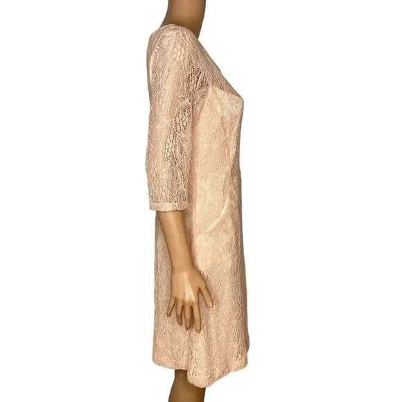 Maeve Anthropologie Pink Lefkara Lace Dress Size Medium New without tags - Picture 3 of 10